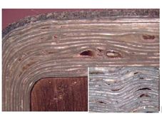 polarizacion-depolarizacion.jpg